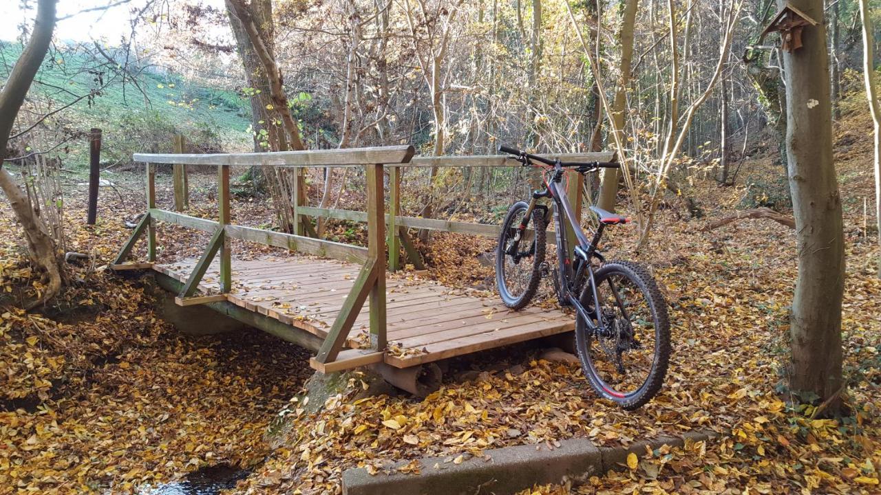 Ferienwohnung "In De Uehl" Hürtgenwald Esterno foto
